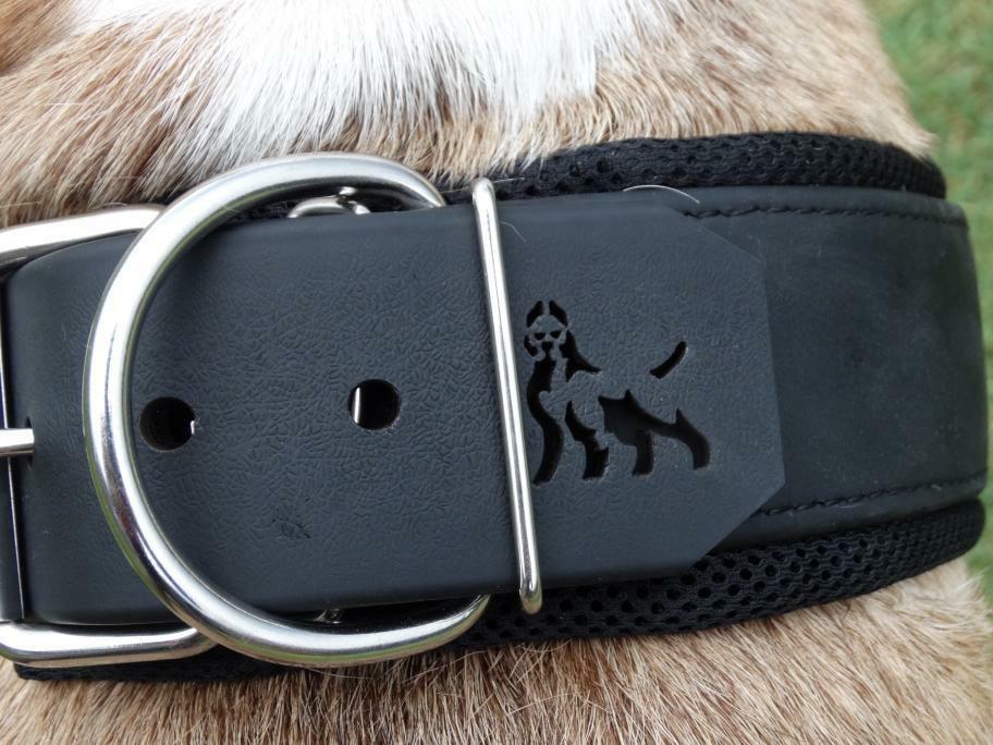 BESTIA DOG SPORT COLLAR - Bestia Dog Sport