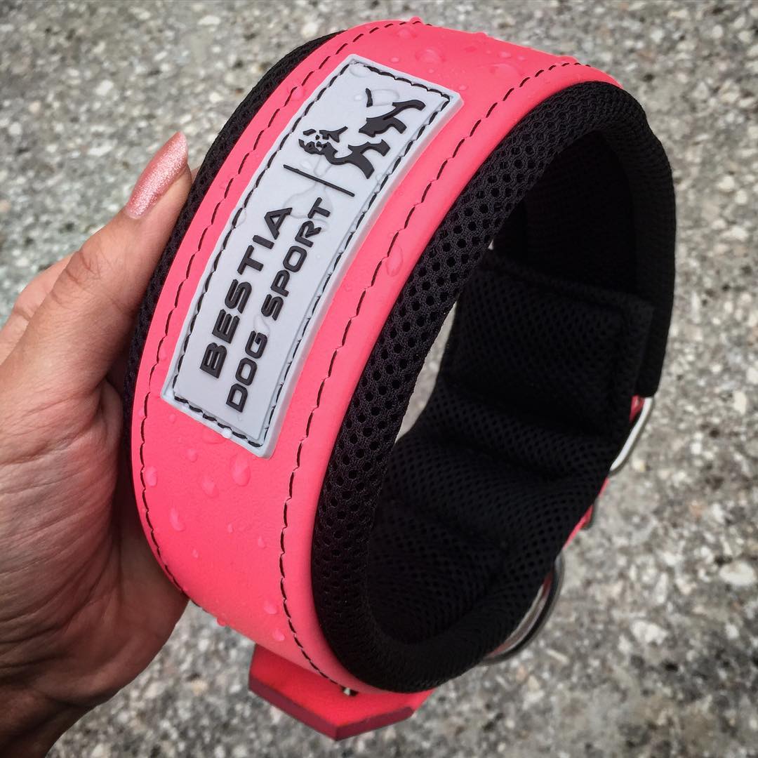 BESTIA DOG SPORT COLLAR NEON PINK - Bestia Dog Sport