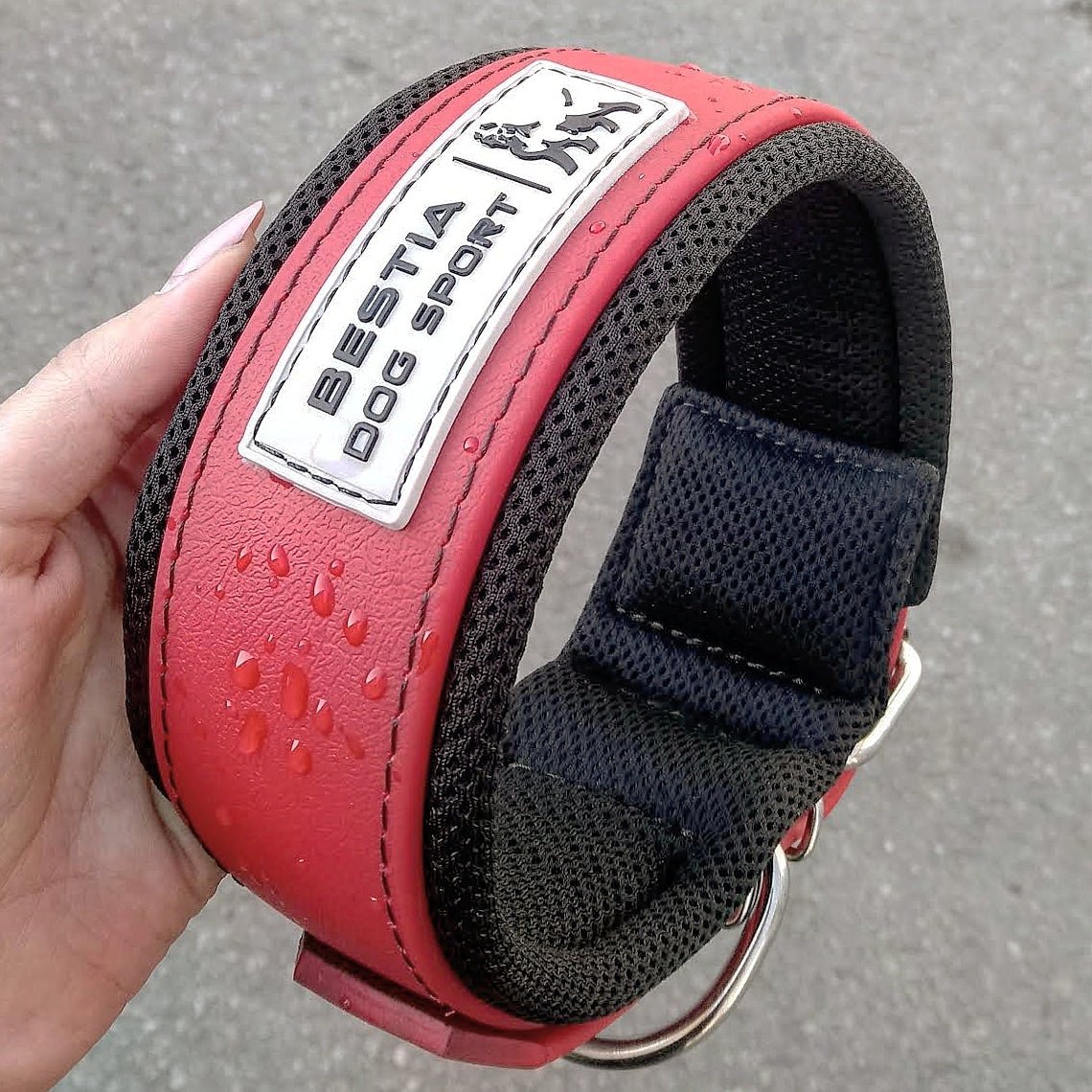 BESTIA DOG SPORT COLLAR RED - Bestia Dog Sport