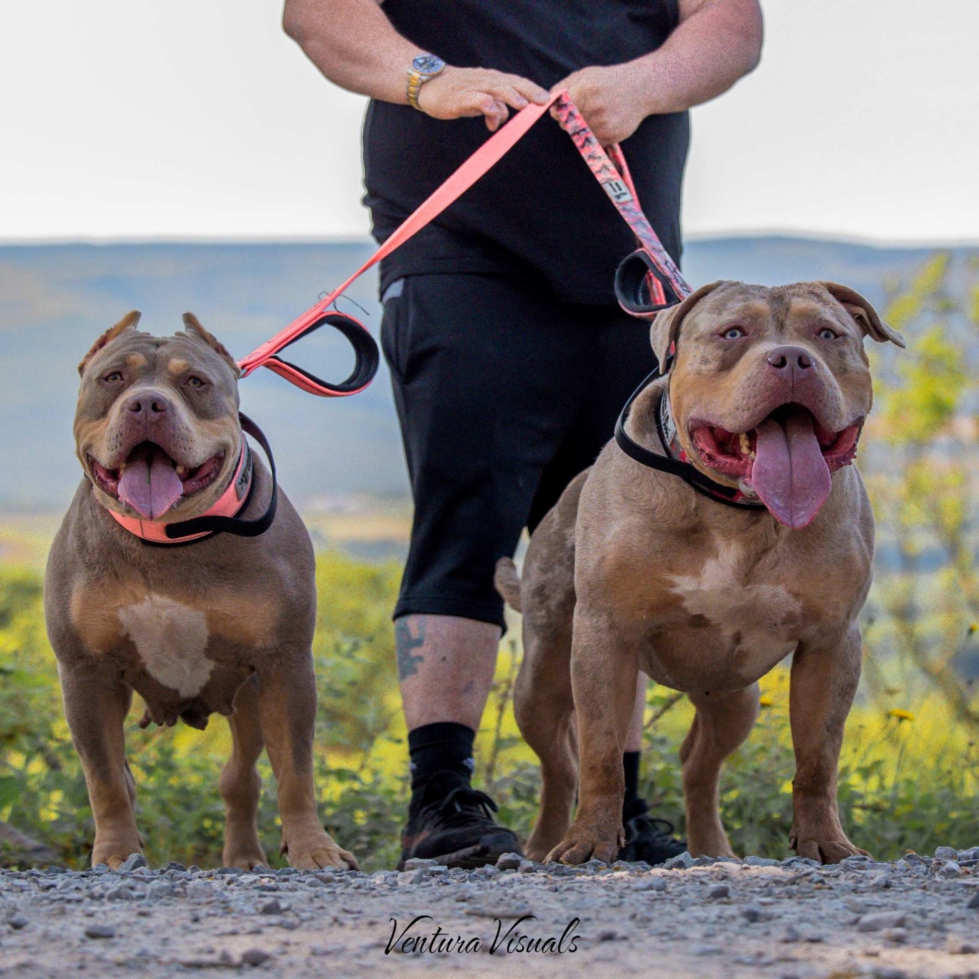 BESTIA DOG SPORT dual handle leash Red Camo - Bestia Dog Sport