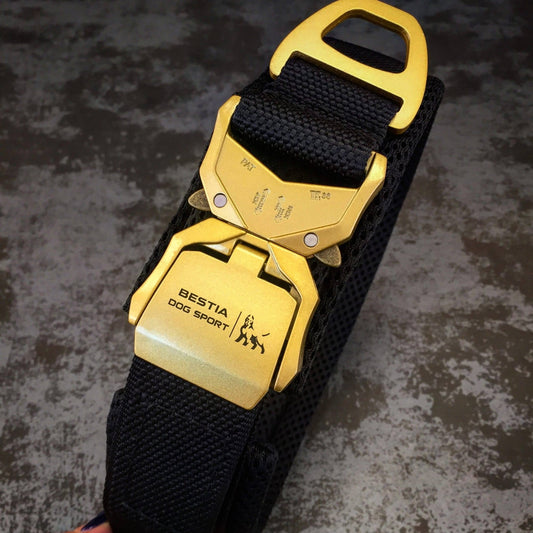 BESTIA DOG SPORT FAST RELEASE COLLAR BLACK & GOLD - Bestia Dog Sport