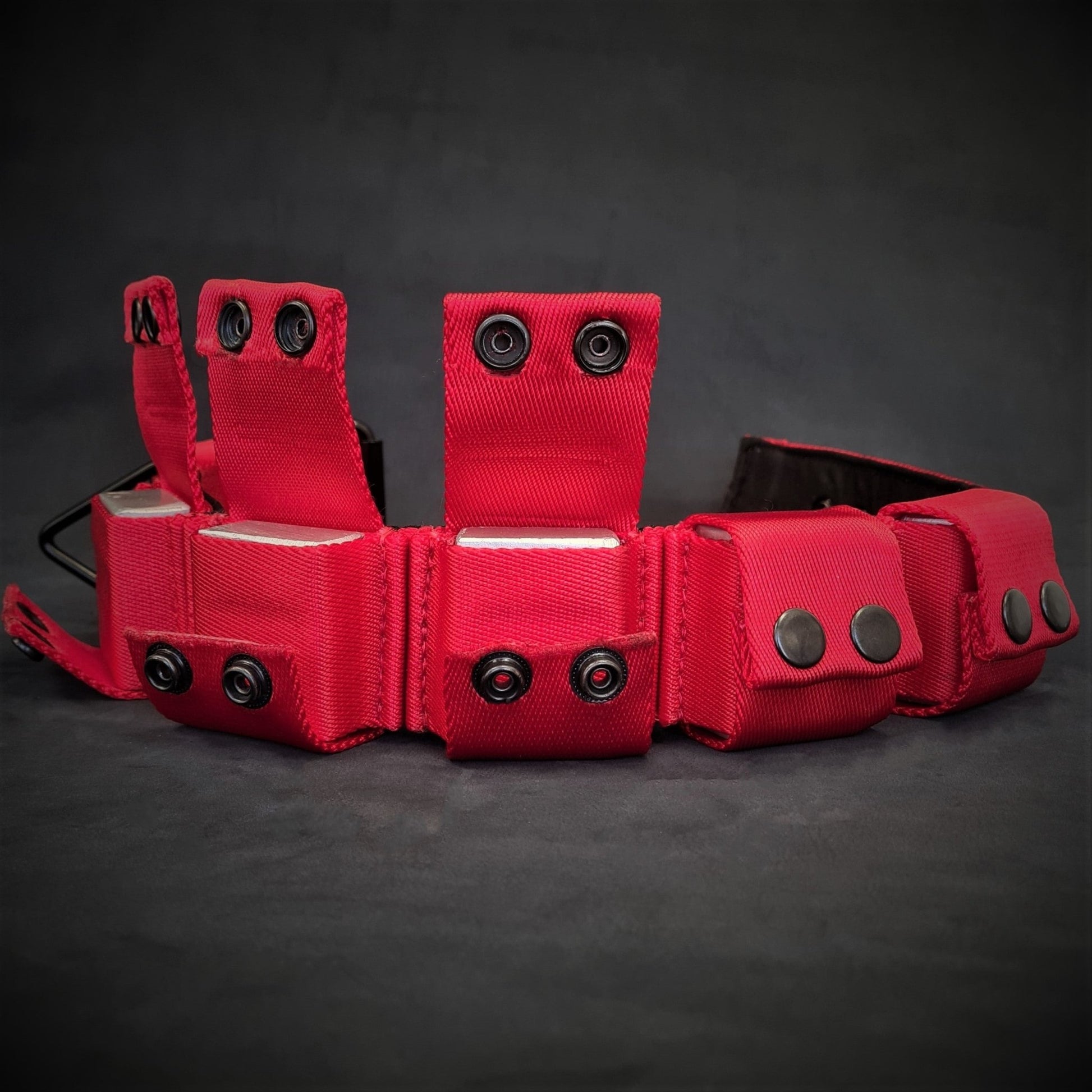 BESTIA DOG SPORT Weighted Dog Training Collar Red - Bestia Dog Sport